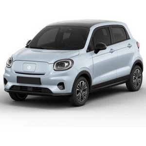 LEAP MOTOR T03 BOOT MATS